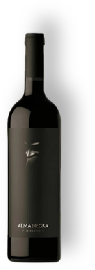 Alma Negra Misterio