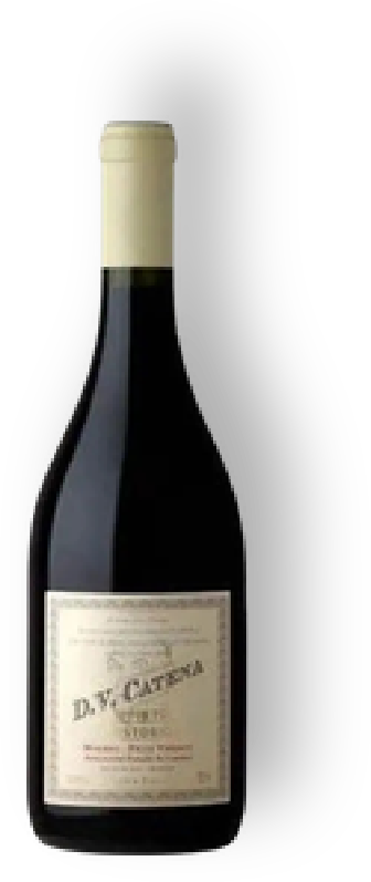 Dv Catena Tinto Histórico