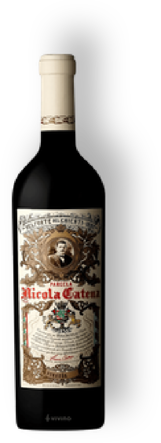Nicola Catena Zapata